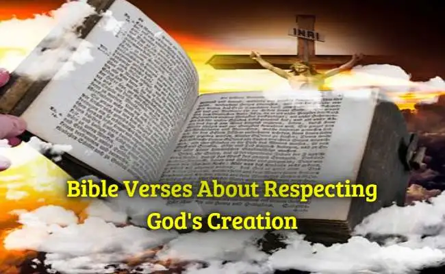 [Top] Más de 51 versículos bíblicos sobre el respeto a la creación de Dios.