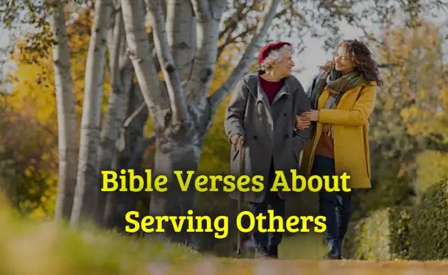 [Best] Más de 25 versículos bíblicos sobre el servicio a los demás.