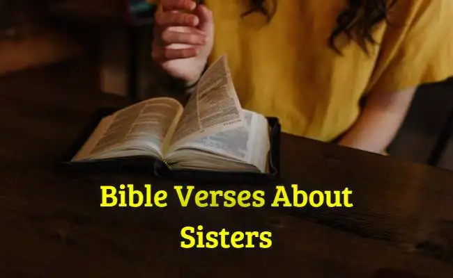 [Top] Más de 35 versículos bíblicos sobre hermanas.