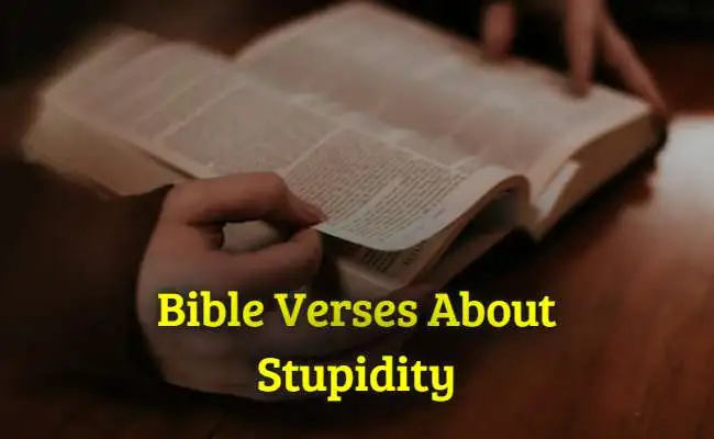 [Top] Más de 45 versículos de la Biblia sobre la estupidez