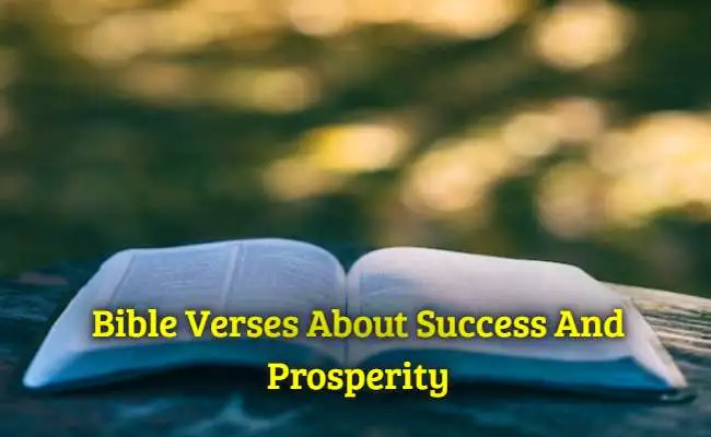 [Best] Más de 19 versículos de la Biblia sobre el éxito y la prosperidad