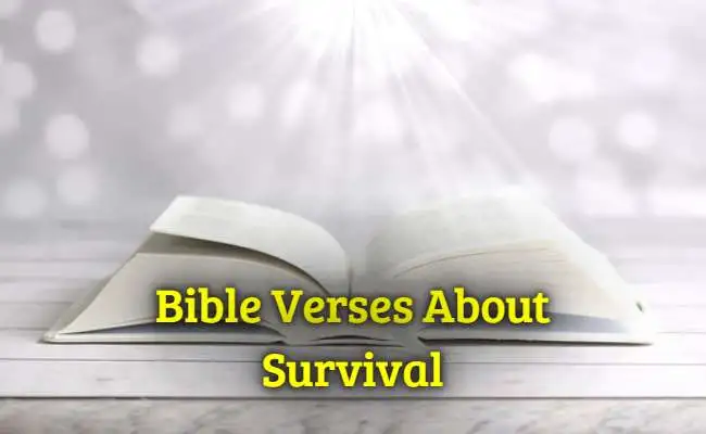 [Top] Más de 35 versículos bíblicos sobre la supervivencia.