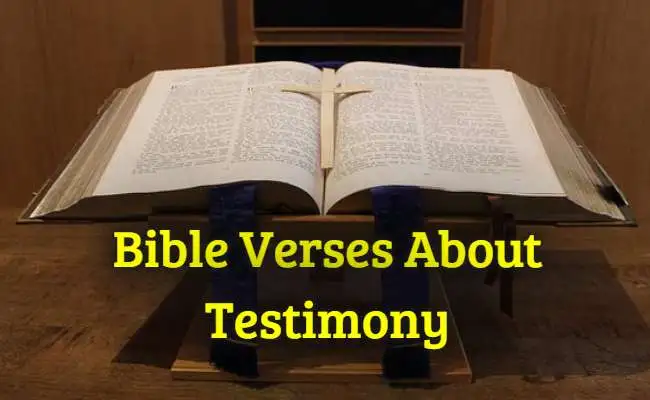 [Best] Más de 19 versículos de la Biblia sobre el testimonio