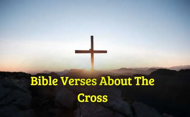 [Best] Más de 47 versículos de la Biblia sobre la cruz.
