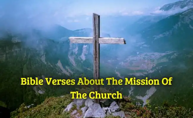 [Top] Más de 40 versículos bíblicos sobre la misión de la iglesia.