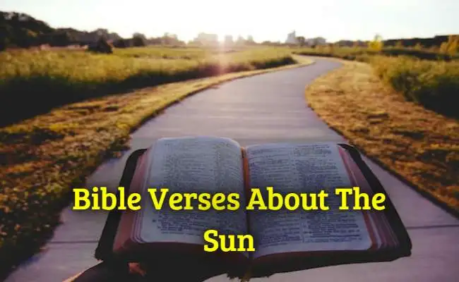 [Top] Más de 35 versículos bíblicos sobre el sol