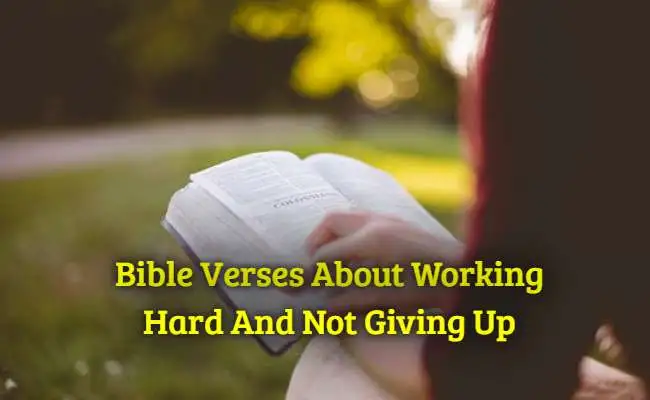 [Best] Más de 17 versículos bíblicos sobre trabajar duro y no darse por vencido