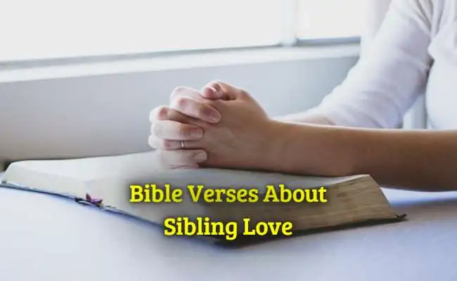 [Top] Más de 30 versículos bíblicos sobre el amor entre hermanos