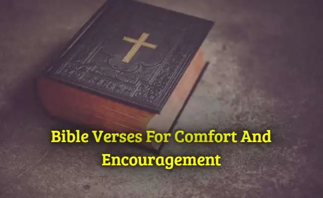 [Top] Más de 35 versículos bíblicos para consuelo y aliento.