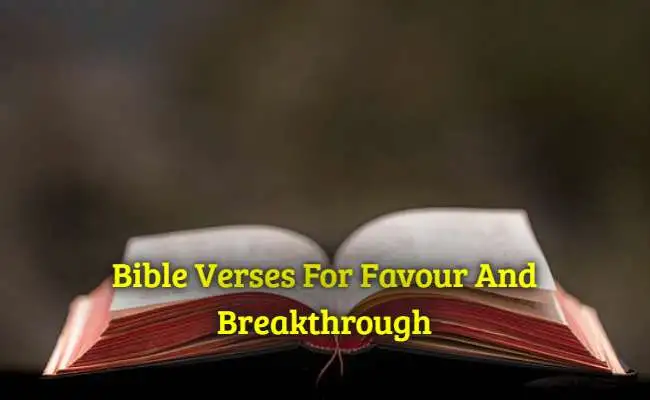 [Top] Más de 25 versículos bíblicos para favor y avance con la oración