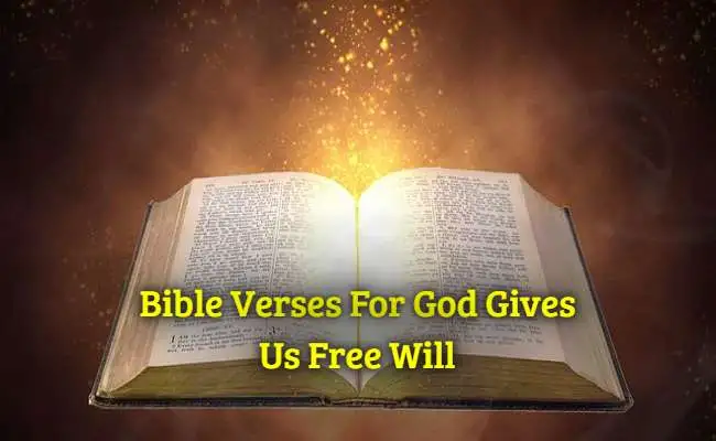 [Top] Más de 20 versículos de la Biblia: Dios nos da libre albedrío