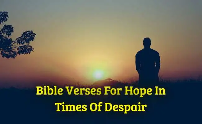 [Best] Más de 44 versículos bíblicos para la esperanza en tiempos de desesperación