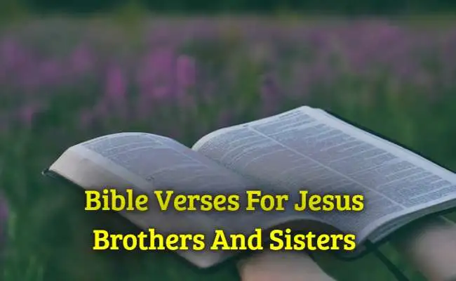 [Best] Más de 30 versículos bíblicos para los hermanos y hermanas de Jesús