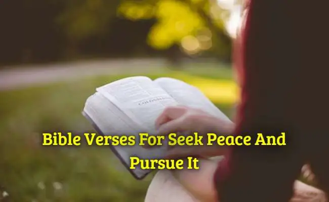 [Top] Más de 34 versículos bíblicos para buscar y perseguir la paz