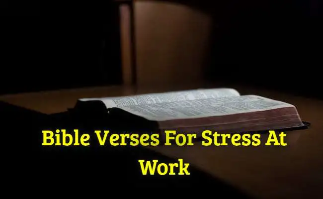 [Best] Más de 40 versículos de la Biblia para combatir el estrés en el trabajo