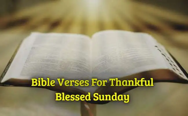 [Best] Más de 49 versículos de la Biblia para un domingo bendecido y agradecido
