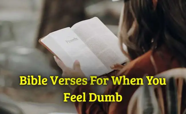 [Top] Más de 27 versículos bíblicos para cuando te sientas estúpido