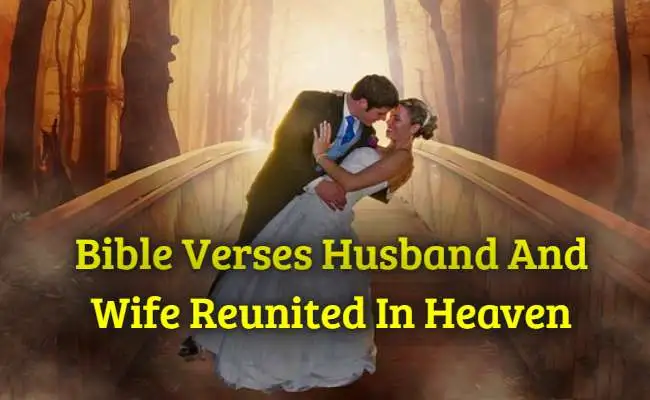 [Best] Más de 16 versículos de la Biblia Hombre y mujer reunidos en el cielo