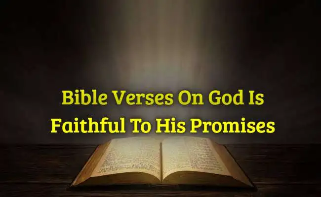 [Best] Más de 20 versículos bíblicos sobre la fidelidad de Dios a sus promesas.