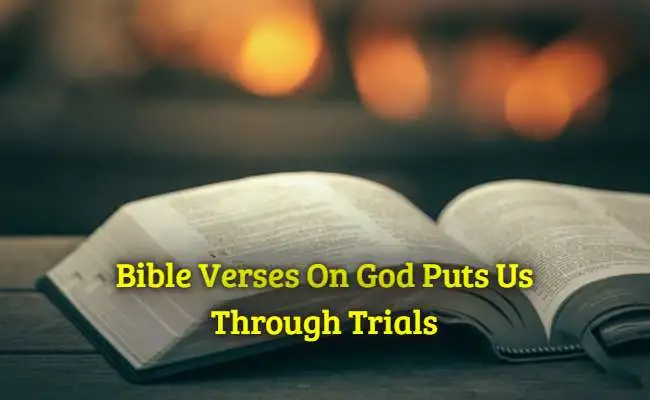 [Top] Más de 30 versículos bíblicos sobre cómo Dios nos guía a través de las pruebas.