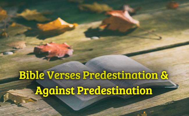 [Best] 9+ Versículos de la Biblia La predestinación y contra la predestinación