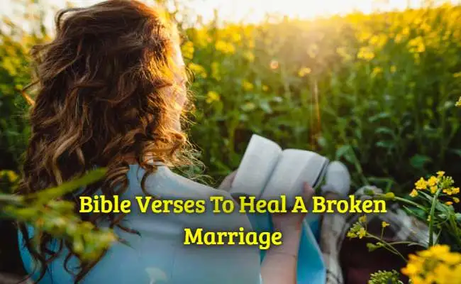 [Best] Más de 14 versículos de la Biblia para sanar un matrimonio roto