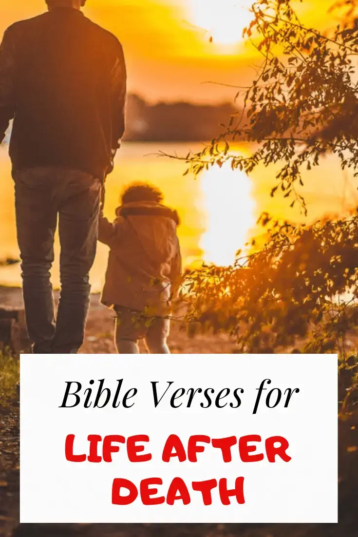 Más de 30 versículos bíblicos sobre la vida después de la muerte: Escrituras importantes