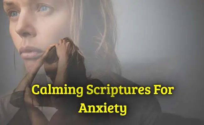 [Best] Más de 39 versículos bíblicos calmantes para la ansiedad