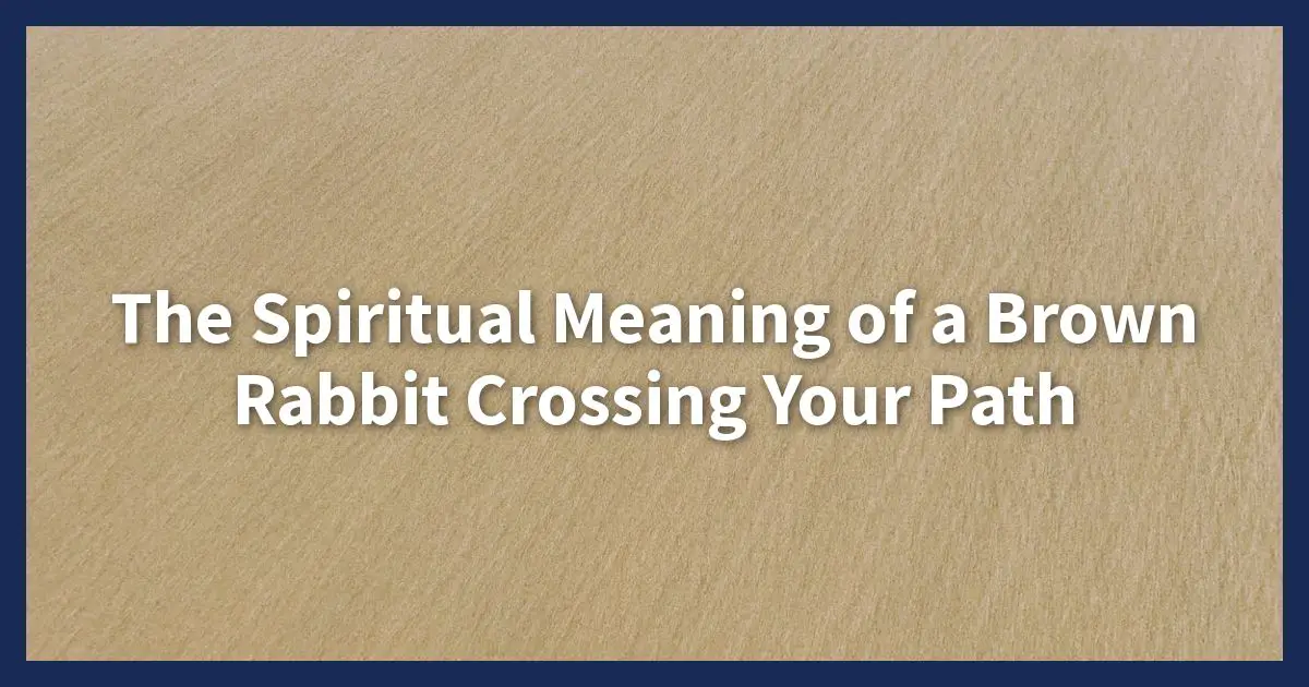 El significado espiritual de un conejo marrón que se cruza en tu camino -