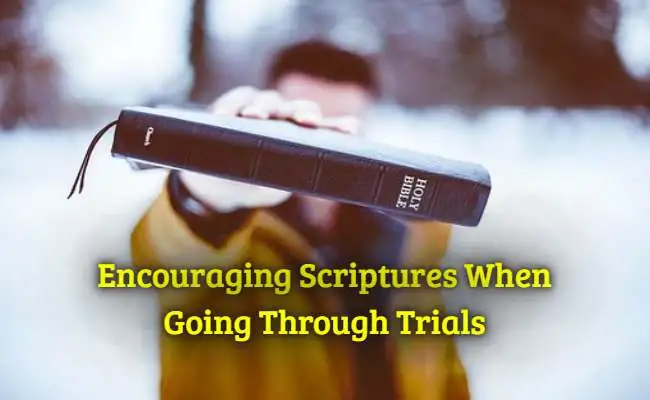 [Top] Más de 48 versículos bíblicos alentadores para los exámenes