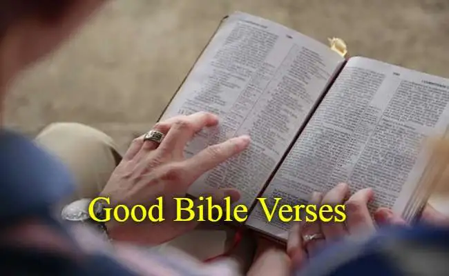 [Best] Más de 70 buenos versículos de la Biblia, siempre buenos.