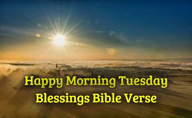 Más de 30 bendiciones de feliz martes con versículo bíblico de oración