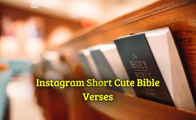 [Top] Más de 52 versículos bíblicos cortos y dulces de Instagram