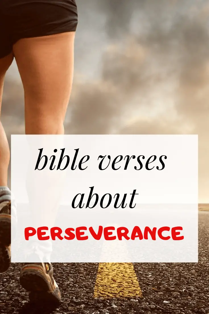 Más de 30 versículos bíblicos sobre la perseverancia: ¿Qué dicen las Escrituras?