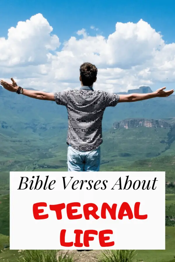 Más de 30 versículos bíblicos sobre la vida eterna: ¿Es real la vida eterna?