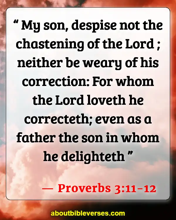 Más de 30 versículos bíblicos sobre los deberes del padre.