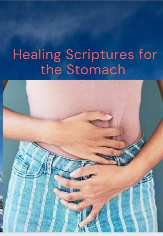 Escrituras curativas para el estómago (¡más de 10 versículos bíblicos que puedes leer ahora!) –