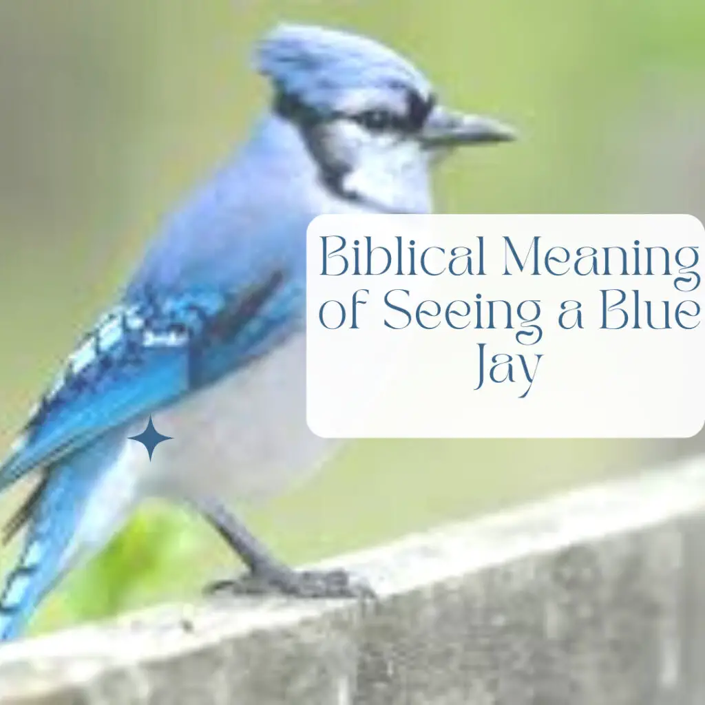 Significado bíblico de ver un arrendajo azul –