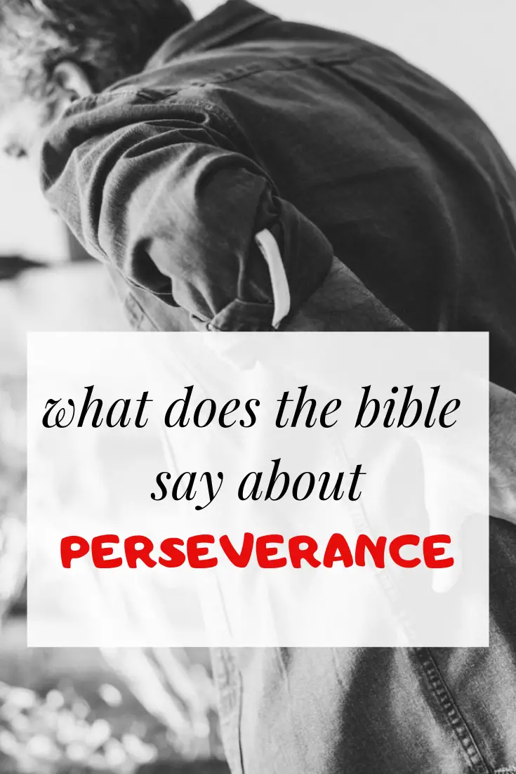Más de 30 versículos bíblicos sobre la perseverancia: ¿Qué dicen las Escrituras?