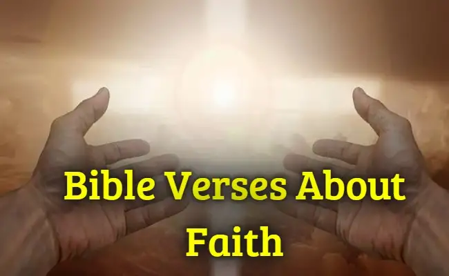 [Best] Más de 30 versículos bíblicos para la fe y la confianza.