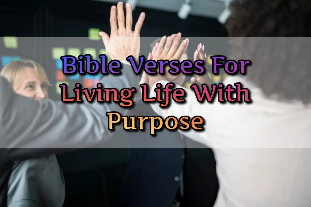 [Best] Más de 17 versículos de la Biblia sobre cómo vivir una vida con propósito