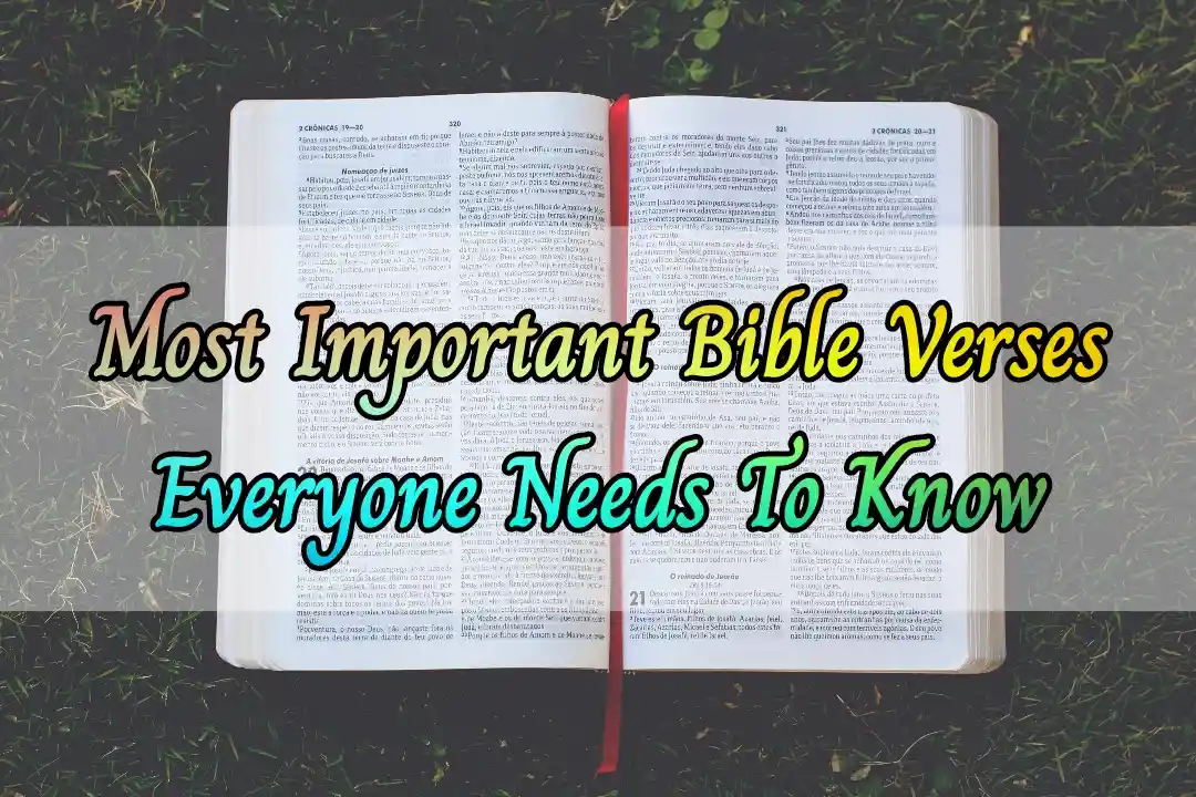 [Best] Más de 10 versículos bíblicos más importantes (todos deben conocerlos)